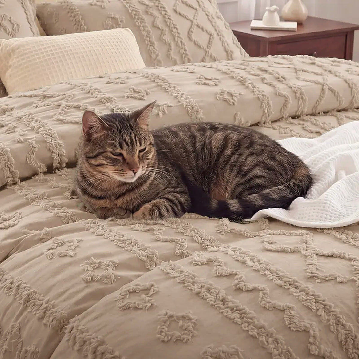 Tabby cat curled up on the taupe tufted comforter, showing the raised tuft pattern close up